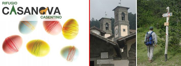 Sabato
12 e Domenica 13 – APRILE 2014
La Domenica dell’... abeto 11 dda2 - Sabato
12 e Domenica 13 – APRILE 2014
La Domenica dell’... abeto