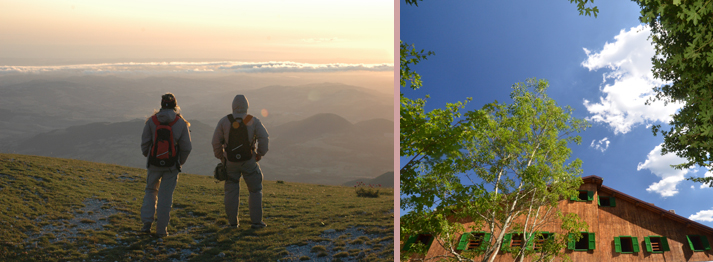 Sabato
12 e Domenica 13 – APRILE 2014
La Domenica dell’... abeto 12 dda3 - Sabato
12 e Domenica 13 – APRILE 2014
La Domenica dell’... abeto