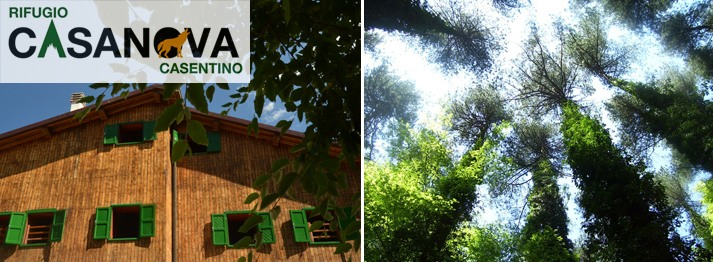 Sabato
12 e Domenica 13 – APRILE 2014
La Domenica dell’... abeto 13 dda4 - Sabato
12 e Domenica 13 – APRILE 2014
La Domenica dell’... abeto